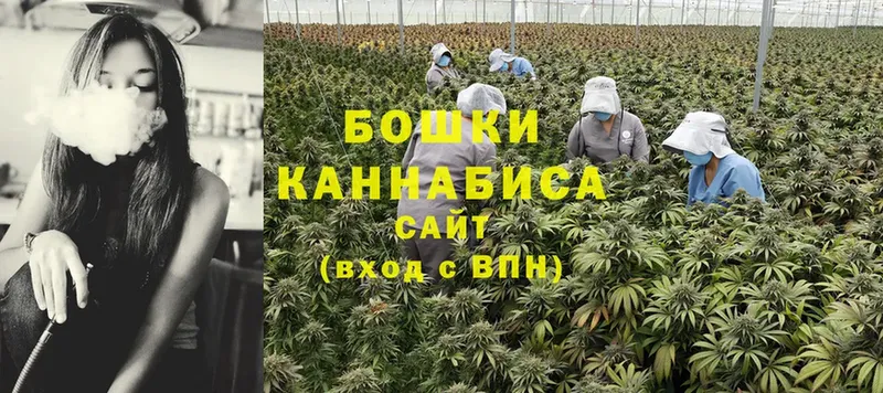 это клад  Ликино-Дулёво  Марихуана THC 21%  сколько стоит 